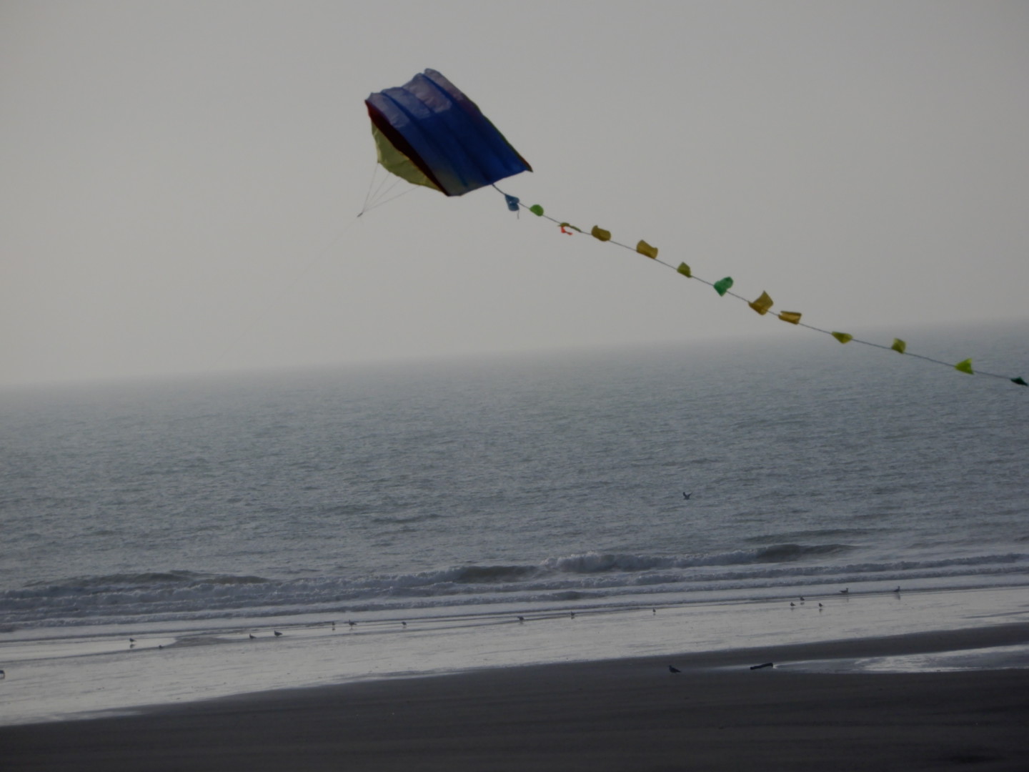 Photo n° 2 de l'avis de Atlantysse.e fait le 19/02/2019 à 17:26