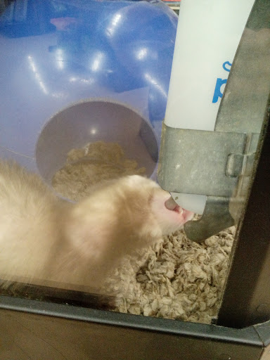 Pet Supply Store «Petco Animal Supplies», reviews and photos, 2095 N Harris Blvd, Layton, UT 84041, USA