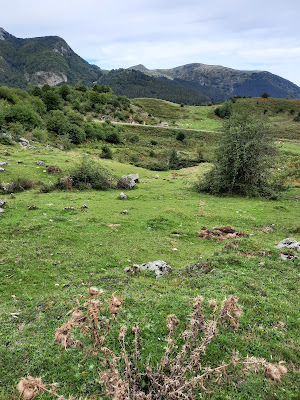 Passe de Bispou à Le Port