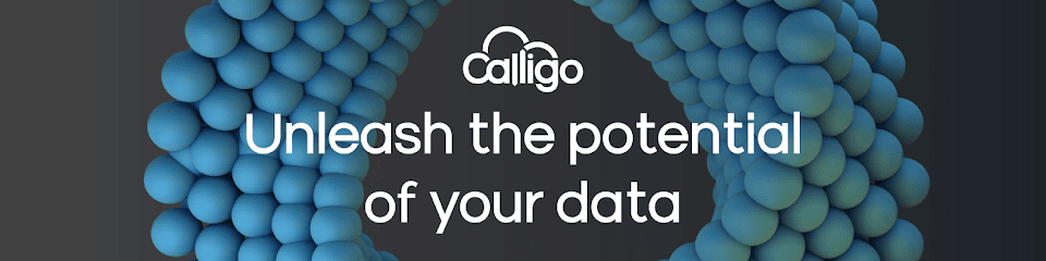 Calligo - Transformative Data Services - Cavan
