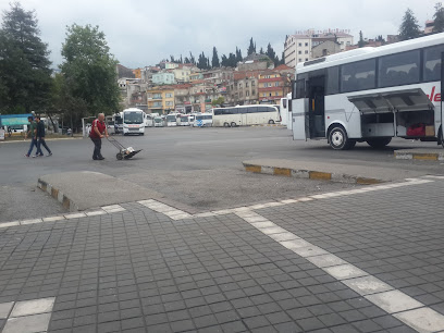 Trabzon Otogar