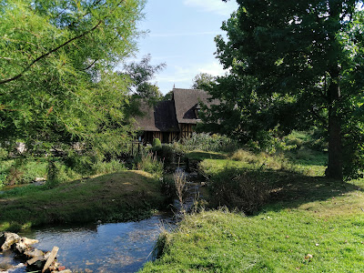 Arboretum - musée du pays de Conches à Conches-en-Ouche