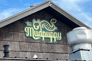 The Mudpuppy image