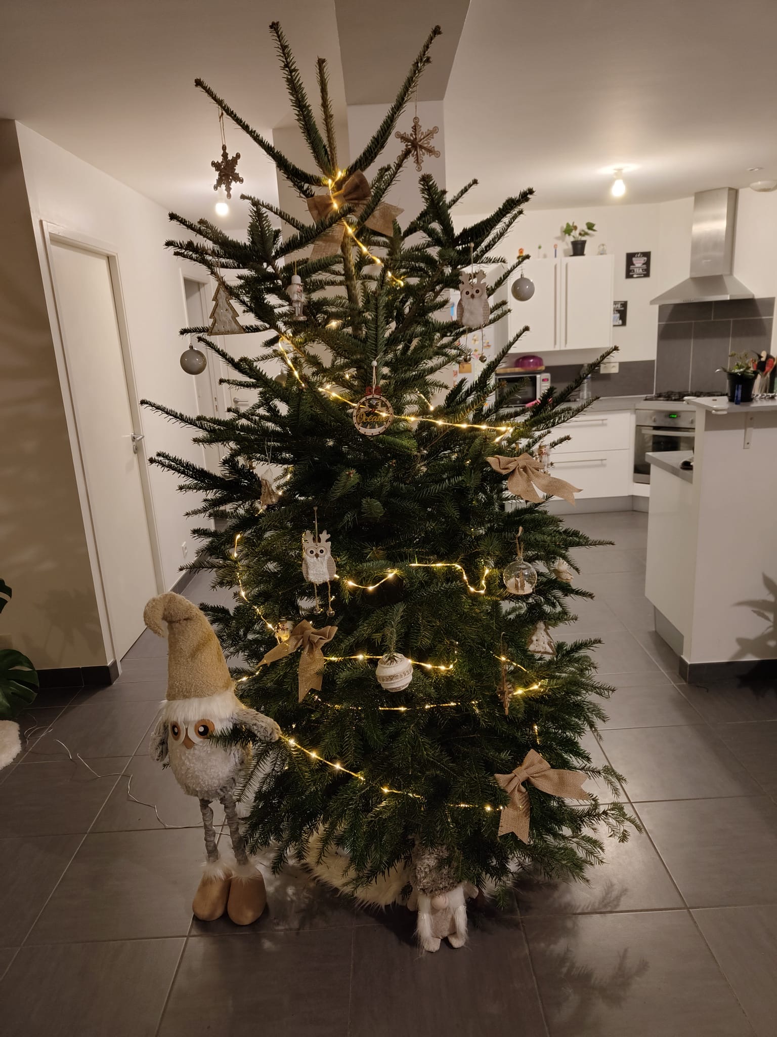 Photo n° 1 de l'avis de Oceane.a fait le 11/12/2023 à 17:08