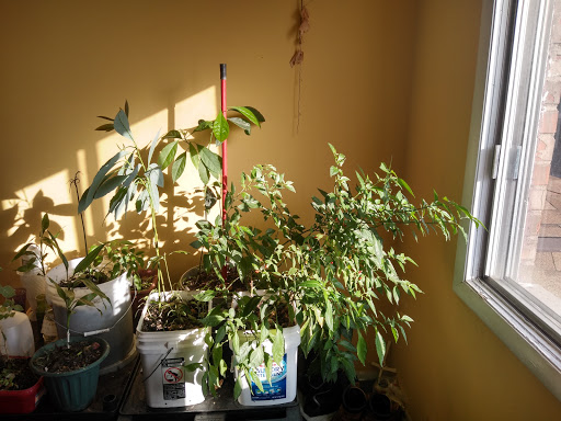 Grocery Store «Jewel-Osco», reviews and photos, 819 S Elmhurst Rd, Des Plaines, IL 60016, USA