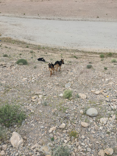 Park «Angel Park», reviews and photos, Angel Park Trail, Las Vegas, NV 89145, USA