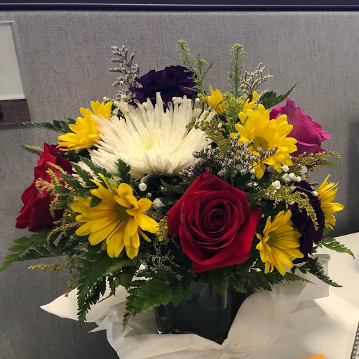 Florist «Irish Rose and GIfts», reviews and photos, 33608 W Seven Mile Rd, Livonia, MI 48152, USA