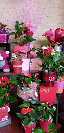 Grocery Store «Randalls», reviews and photos, 6600 S MoPac Expy, Austin, TX 78749, USA