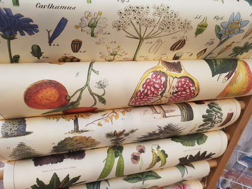 Stationery Store «ROCK PAPER SCISSORS», reviews and photos, 216 S Main St, Ann Arbor, MI 48104, USA