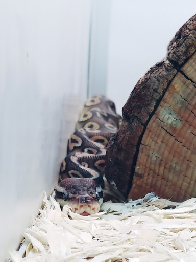 Pet Store «Pets & Such», reviews and photos, 3680 3500 S, West Valley City, UT 84120, USA