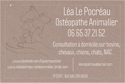 Léa Le Pocreau - Bien Être animal à Theix-Noyalo