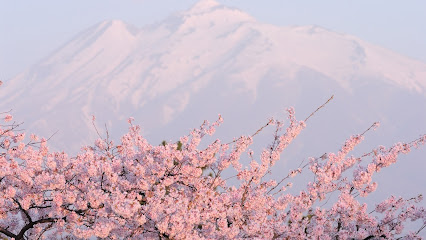 Dojo Aïkido Manizales, Sakura Aïkikaï