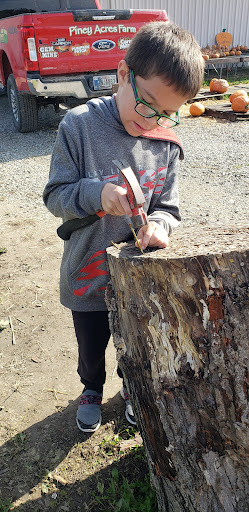 Christmas Tree Farm «Piney Acres», reviews and photos, 1115 E 1000 N, Fortville, IN 46040, USA