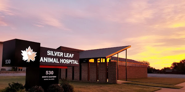 Silver Leaf Animal Hospital