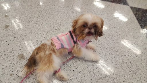 Pet Supply Store «Petco Animal Supplies», reviews and photos, 975 NW Gilman Blvd E, Issaquah, WA 98027, USA