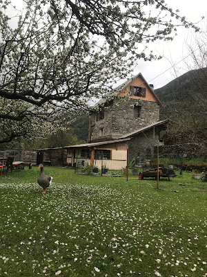 CérisolAlpagas à Saint-Étienne-de-Tinée
