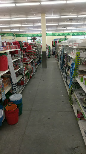 Dollar Store «Dollar Tree», reviews and photos, 294 N Broadway Ste 4, Salem, NH 03079, USA