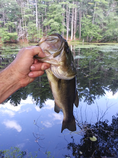 Campground «Lorraine Park Campground», reviews and photos, 133 Jenkins Rd, Andover, MA 01810, USA