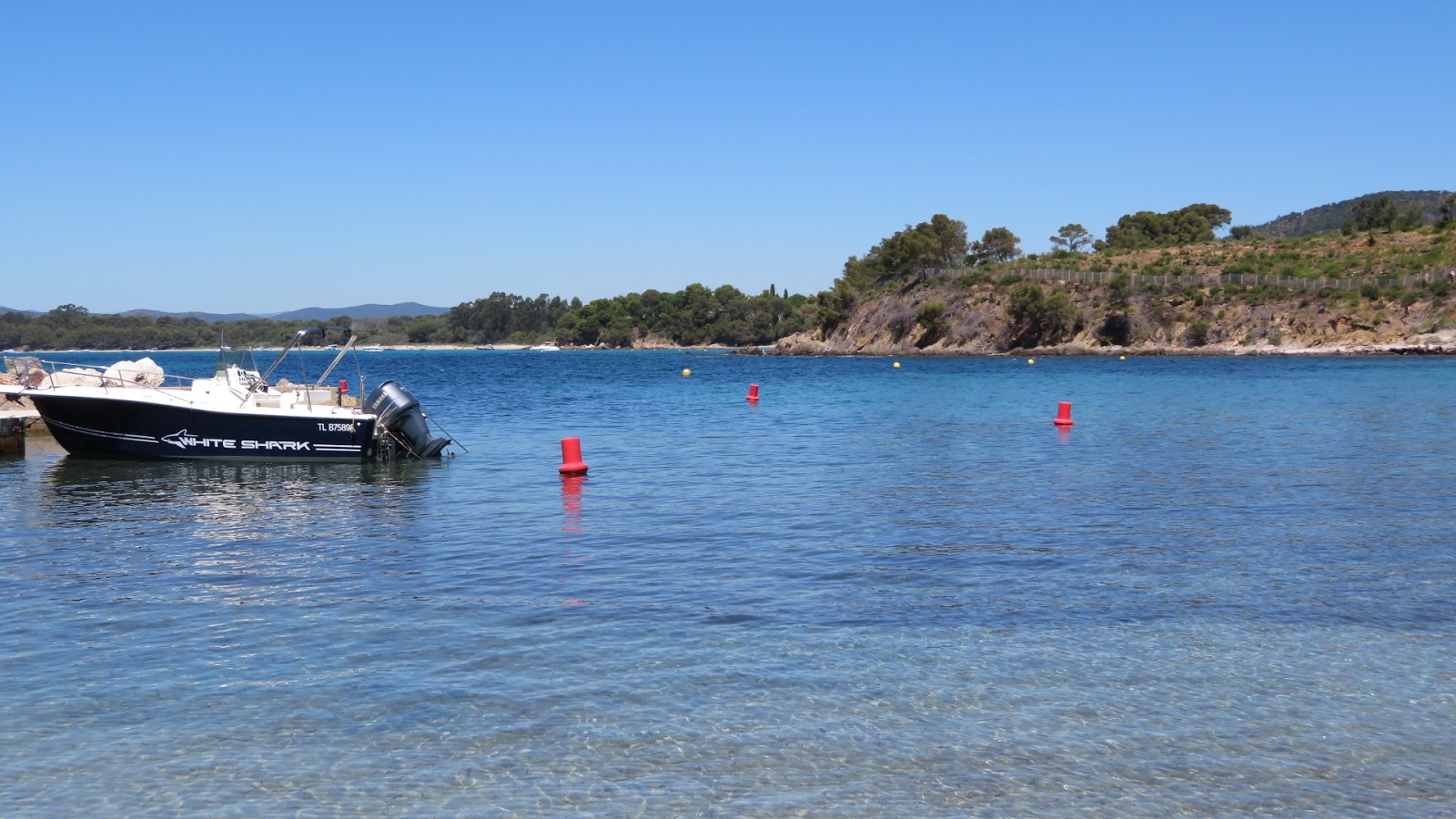 Plage de la Vignasse photo #6