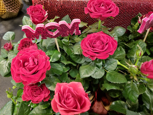 Shopping Mall «Poplar Plaza Shopping Center», reviews and photos, 3440 Poplar Ave, Memphis, TN 38111, USA