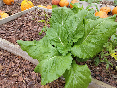 Arlington Community Garden