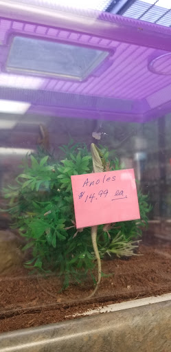 Pet Store «Wet Pets And Friends», reviews and photos, 3695 Washington Rd, Canonsburg, PA 15317, USA