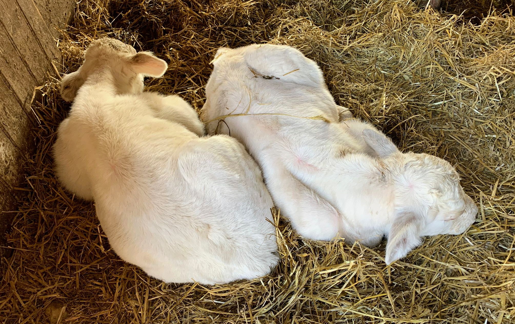 Photo n° 1 de l'avis de Le.a fait le 11/04/2022 à 17:21