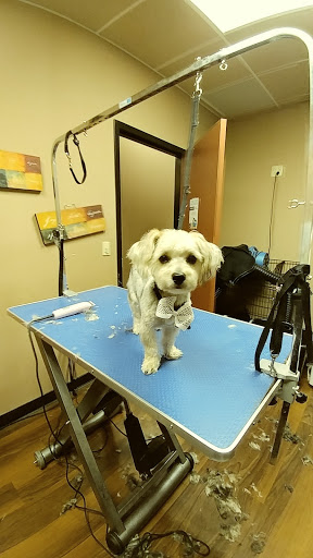 Pet Store «Pet Valu», reviews and photos, 2645 Shillington Rd, Sinking Spring, PA 19608, USA