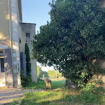 Photo n° 1 de l'avis de Philippine.o fait le 04/01/2024 à 11:01 pour L'embellie sur lot chambres d'hôtes à Sainte-Livrade-sur-Lot