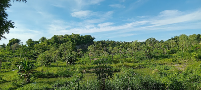 Menjelajahi Keindahan Hutan Nasional di Kabupaten Lombok Tengah: Tempat Pengorong Tune dan Lainnya