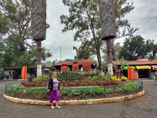 Jardín botánico Morelia