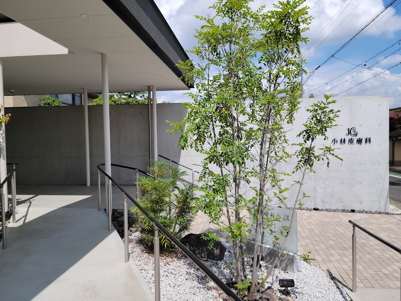 小林皮膚科 愛知県津島市橘町 皮膚科医 グルコミ