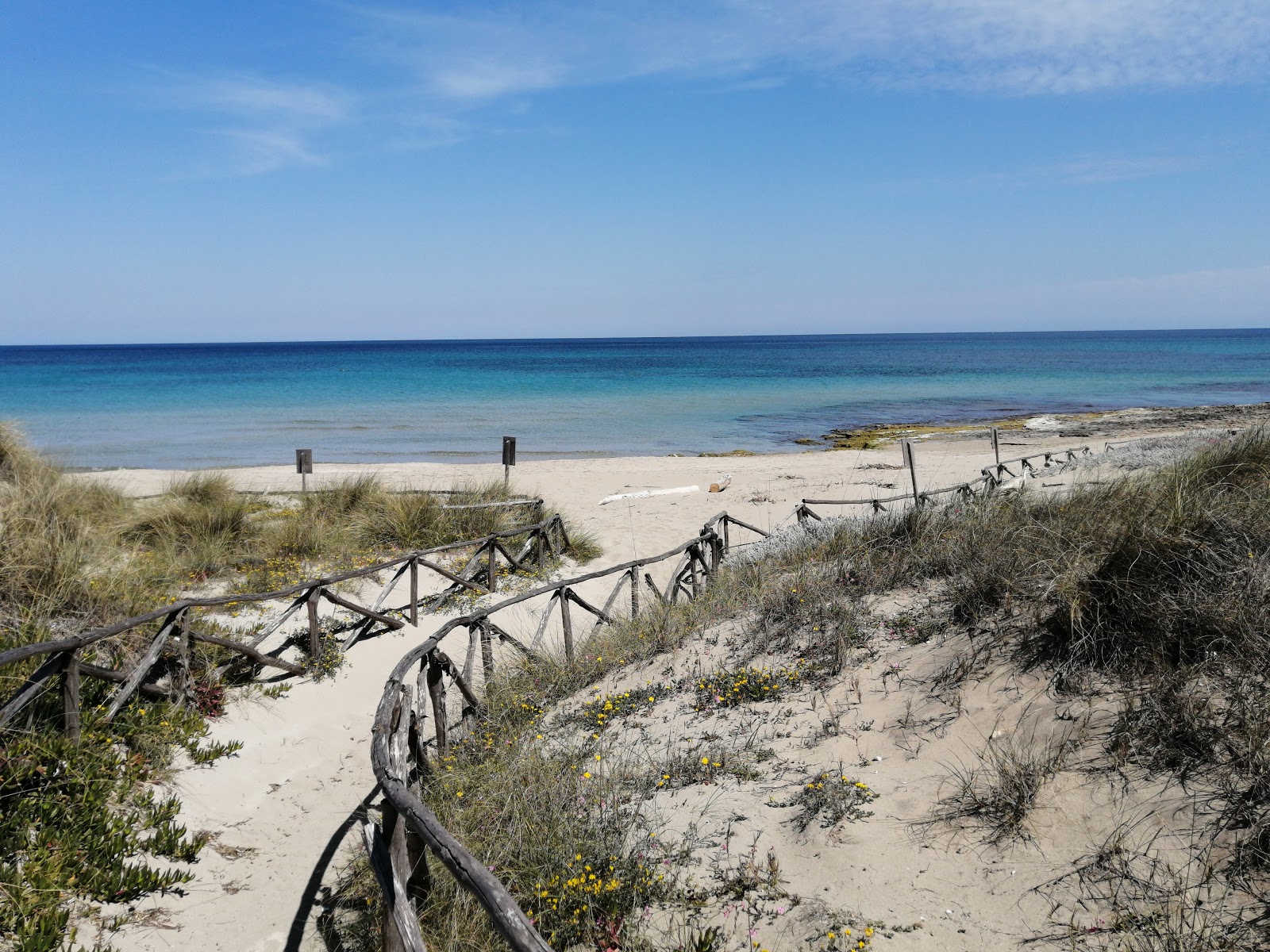Foto av Spiaggia di Rosa Marina beläget i naturområde