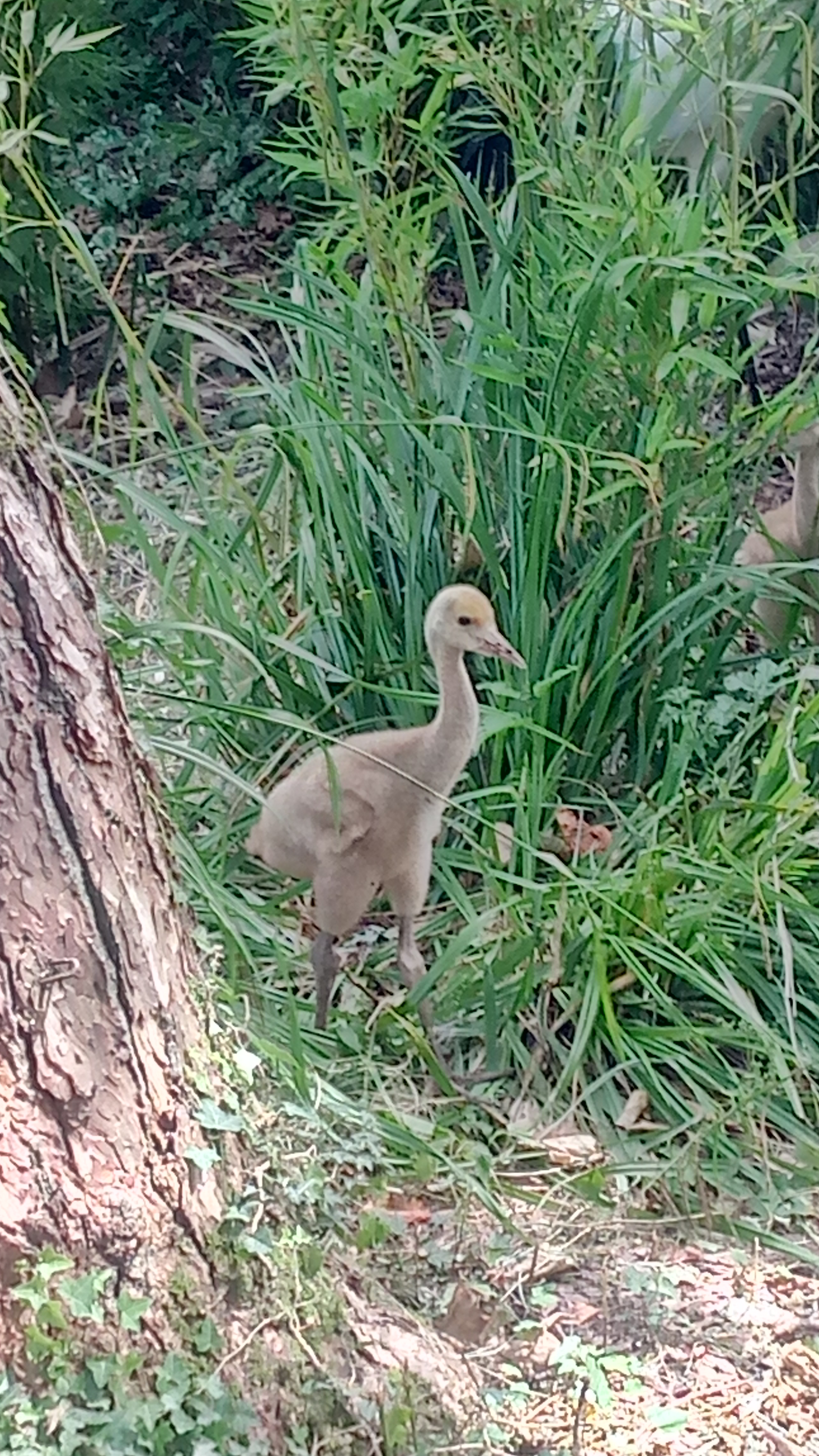 Photo n° 13 de l'avis de patrice.a fait le 12/07/2019 à 07:54