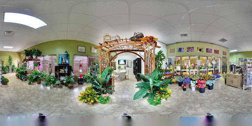 Florist «Carrollwood Florist», reviews and photos, 11745 N Dale Mabry Hwy, Tampa, FL 33618, USA