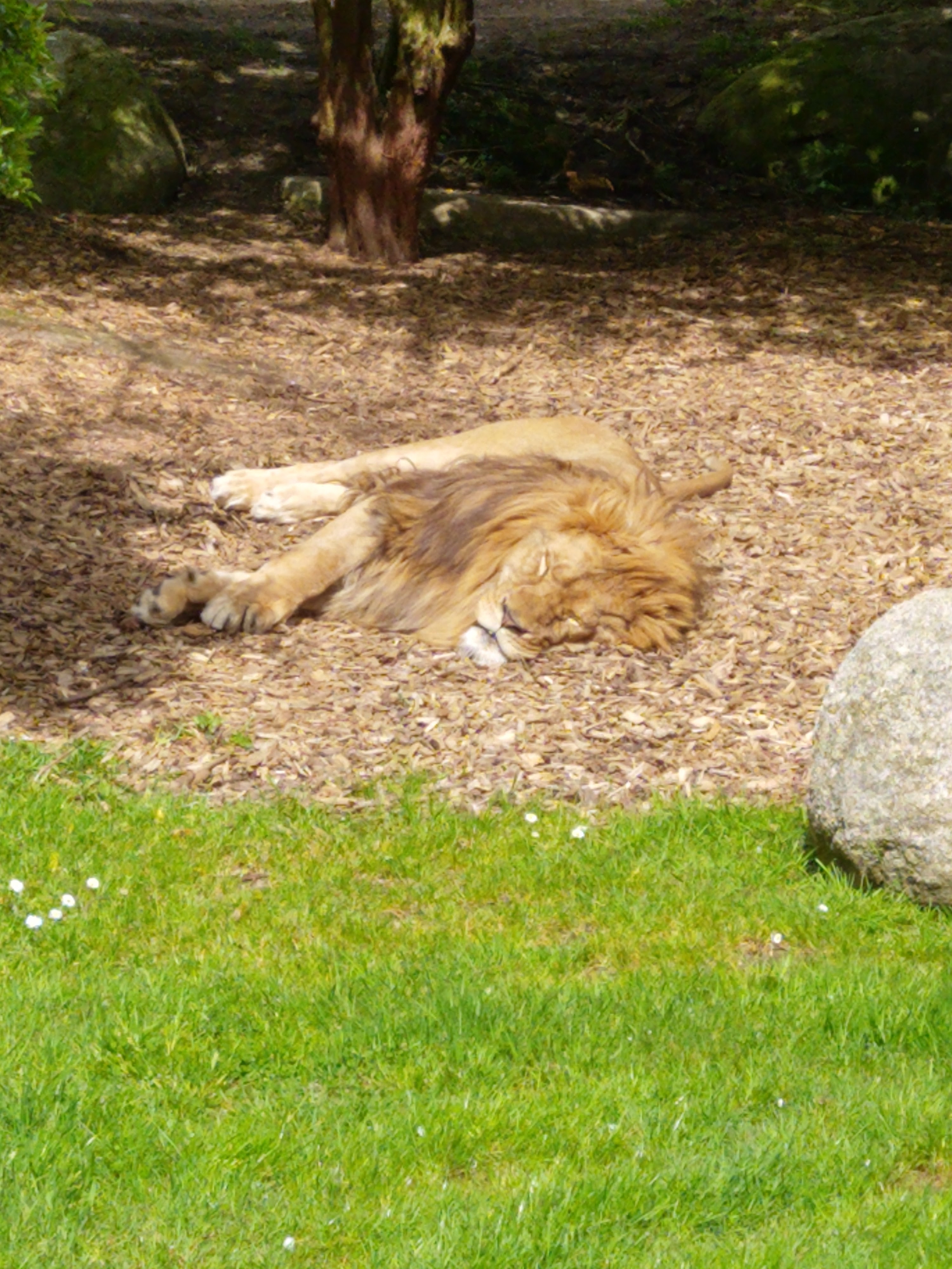 Photo n° 2 de l'avis de CARPENTIER.l fait le 25/04/2023 à 17:29