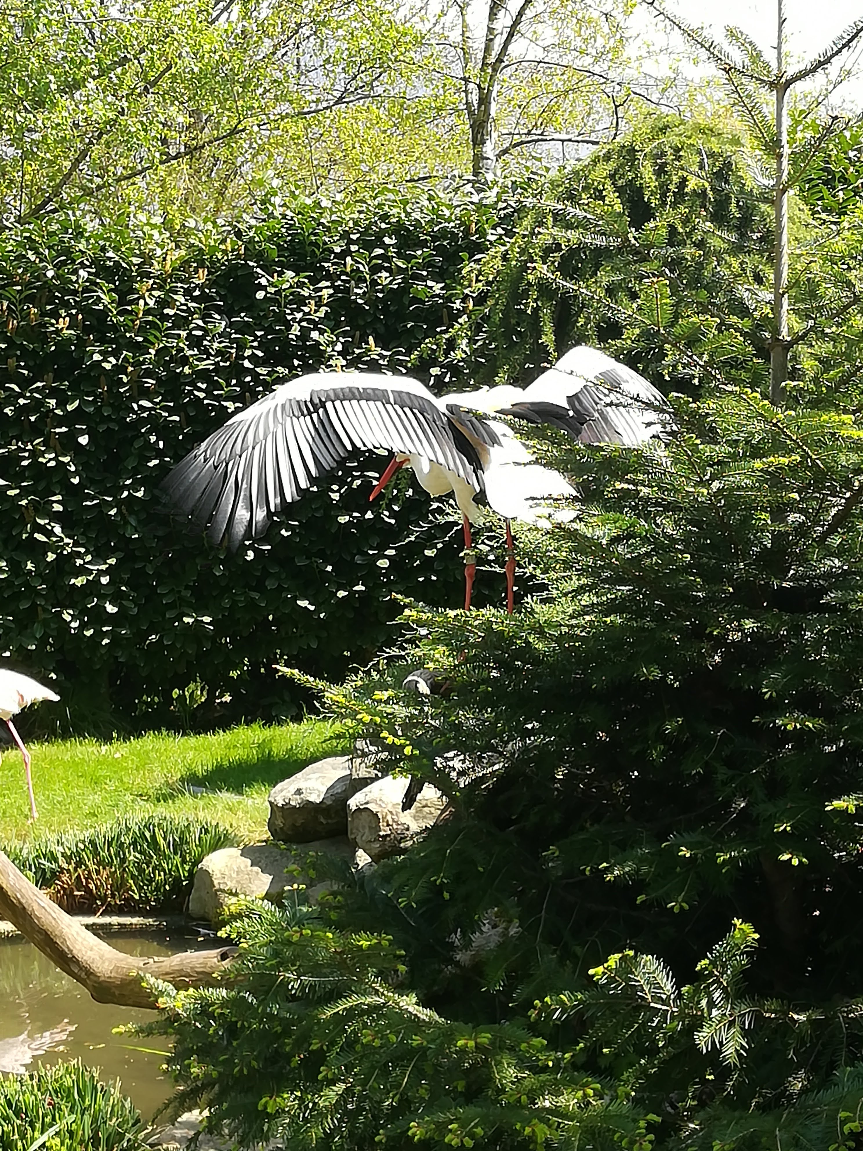 Photo n° 37 de l'avis de Sarah.L fait le 21/04/2018 à 18:44