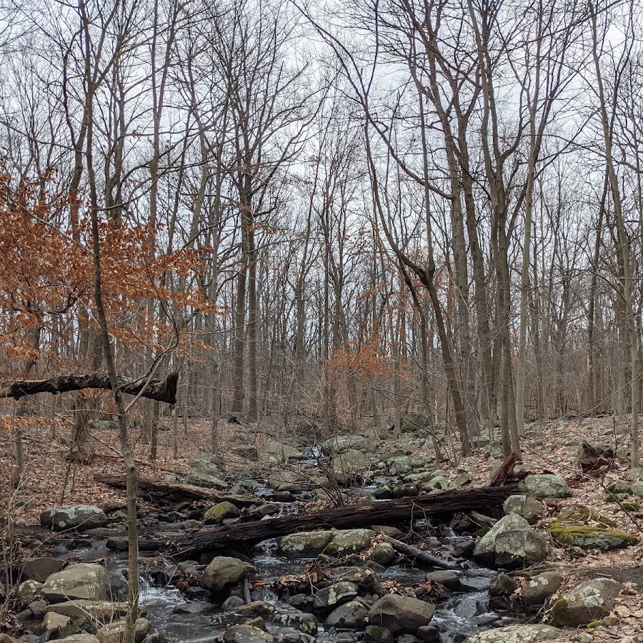 Rockleigh Woods Sanctuary