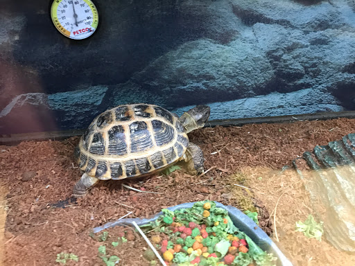 Pet Supply Store «Petco Animal Supplies», reviews and photos, 8213 Hwy 72 W c, Madison, AL 35758, USA