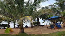 Photo de Palm Beach - endroit populaire parmi les connaisseurs de la détente