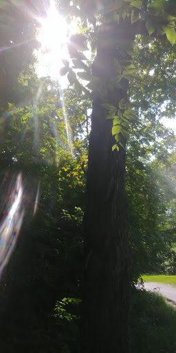 Country Club «The Hawthorns Golf and Country Club», reviews and photos, 12255 Club Point Dr, Fishers, IN 46037, USA