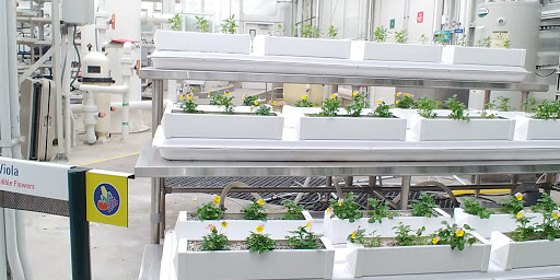 Theme Park «Epcot», reviews and photos, 200 Epcot Center Dr, Orlando, FL 32821, USA