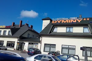 Hotel Dyminy image