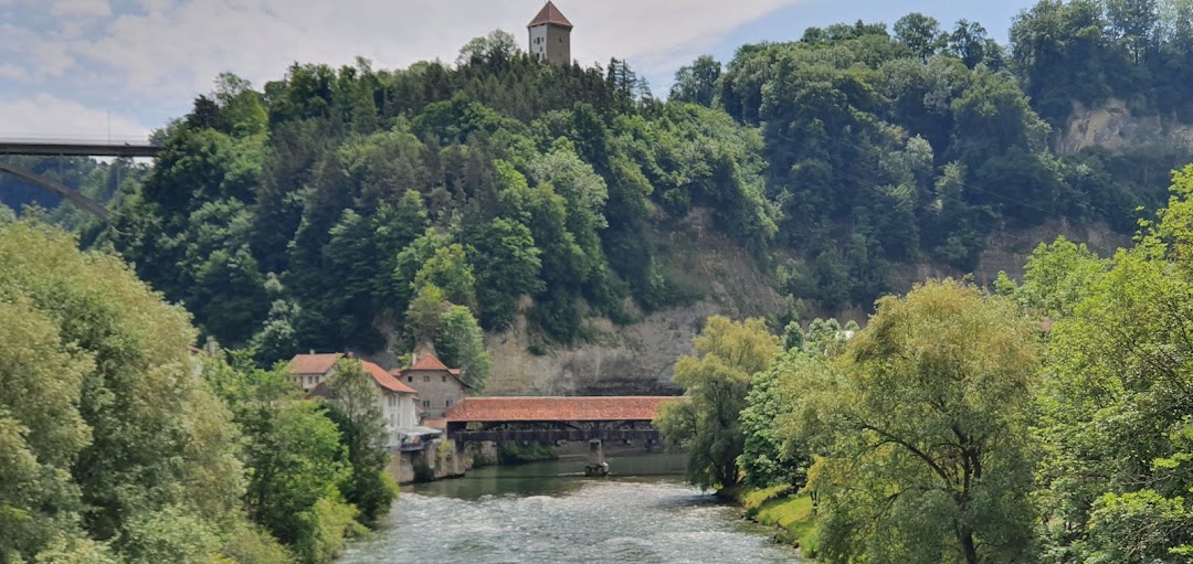 Fribourg, İsviçre