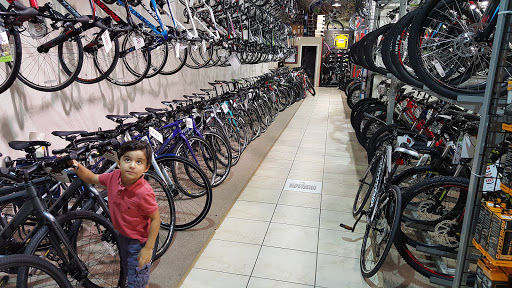 Bicycle Store «Bike Tech», reviews and photos, 7252 Bird Rd, Miami, FL 33155, USA