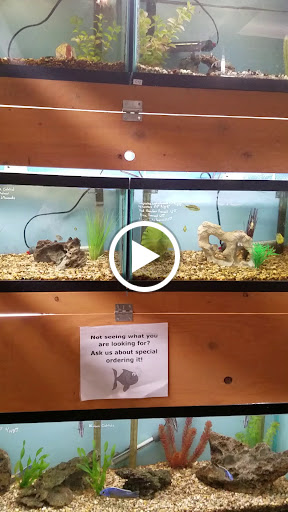 Tropical Fish Store «Pet Friendly Inc», reviews and photos, 845 Manitou Rd, Hilton, NY 14468, USA