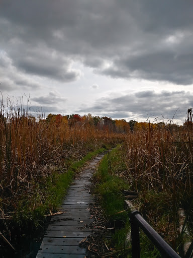 Nature Preserve «Eliason Nature Reserve», reviews and photos, 9501 Shaver Rd, Portage, MI 49024, USA