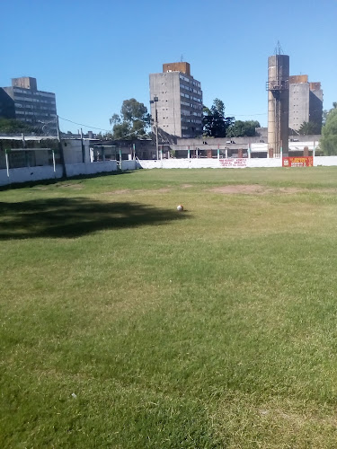 C.S.D. Euskal Erría 71 - Baby Fútbol