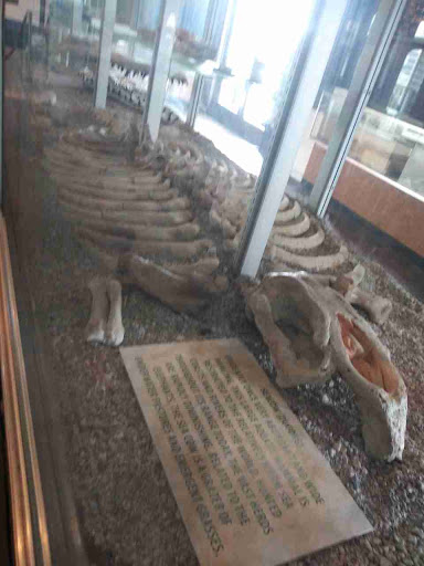 Museum «Phosphate Museum», reviews and photos, 101 SE 1st St, Mulberry, FL 33860, USA