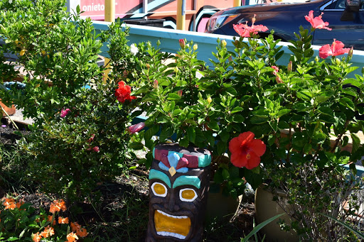 Espresso Bar «Java Surf Café & Espresso Bar», reviews and photos, 1807 Mediterranean Ave, Virginia Beach, VA 23451, USA